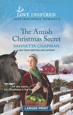 The Amish Christmas Secret, by Vannetta Chapman
