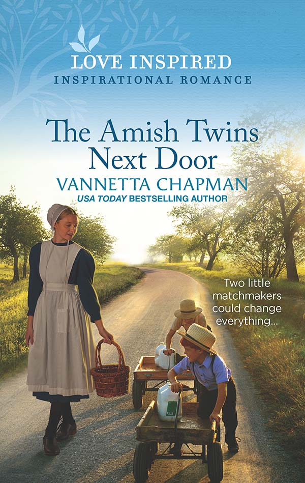 The Amish Twins Next Door - book cover