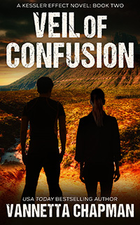 Veil of Confusion book cover