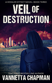 Veil of Destruction book cover