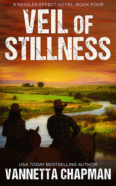 Veil of Stillness book cover
